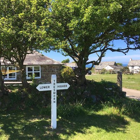 Higher Tresmorn Farm Bed and Breakfast Crackington Haven Eksteriør billede