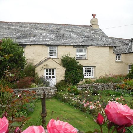 Higher Tresmorn Farm Bed and Breakfast Crackington Haven Eksteriør billede