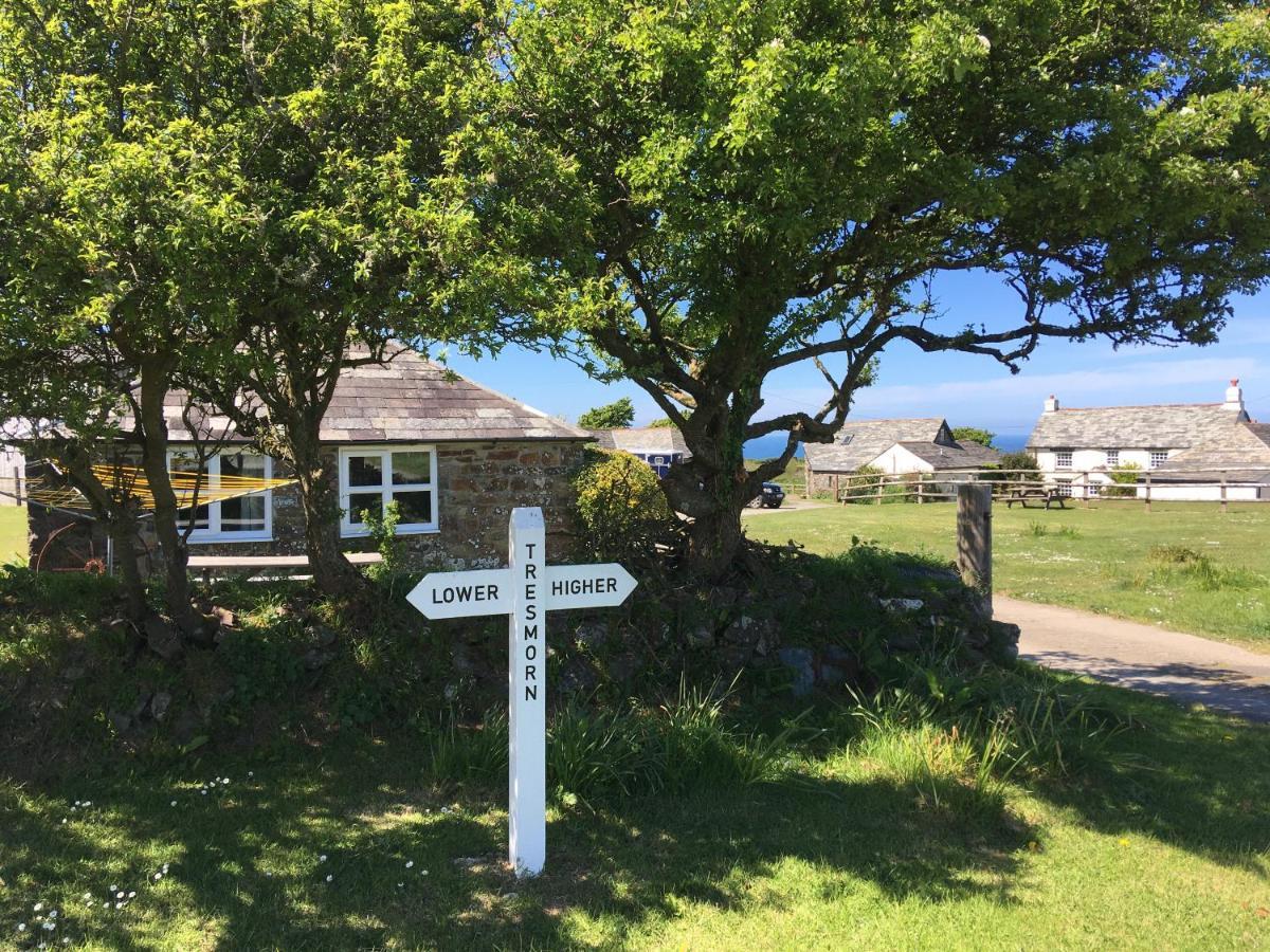 Higher Tresmorn Farm Bed and Breakfast Crackington Haven Eksteriør billede