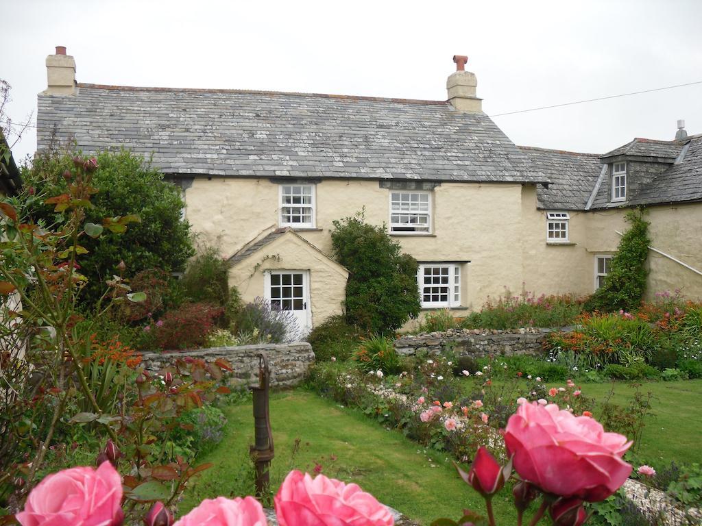 Higher Tresmorn Farm Bed and Breakfast Crackington Haven Eksteriør billede