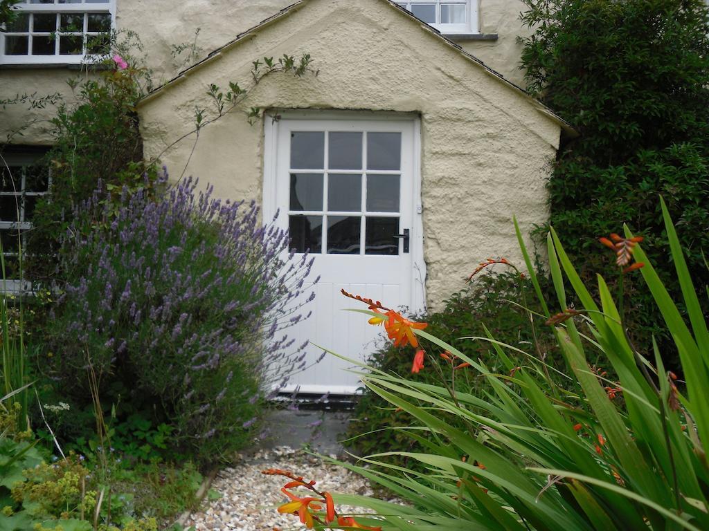Higher Tresmorn Farm Bed and Breakfast Crackington Haven Eksteriør billede