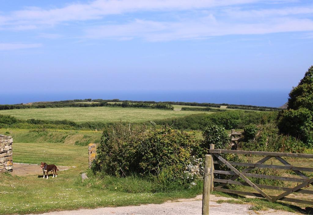 Higher Tresmorn Farm Bed and Breakfast Crackington Haven Eksteriør billede