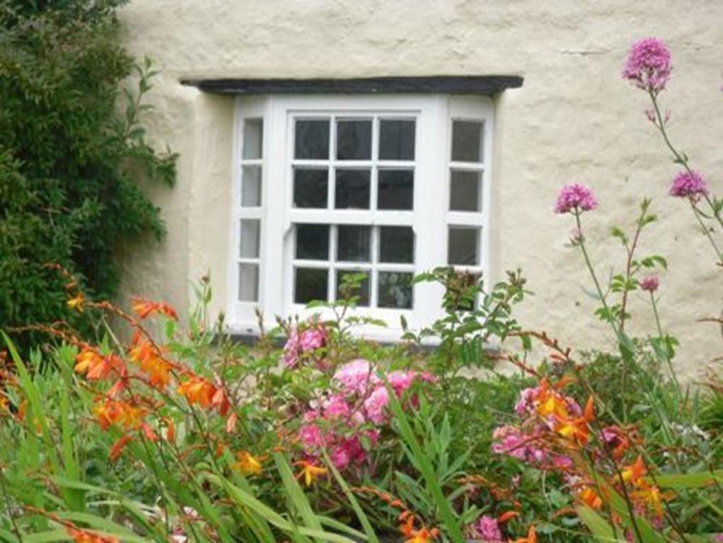 Higher Tresmorn Farm Bed and Breakfast Crackington Haven Eksteriør billede